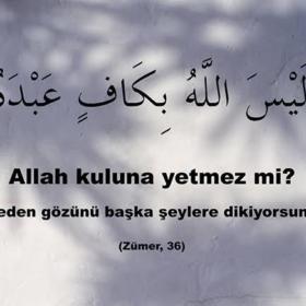 oneygız