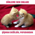 leydiydi