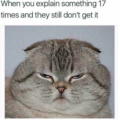 Rapunzelll_