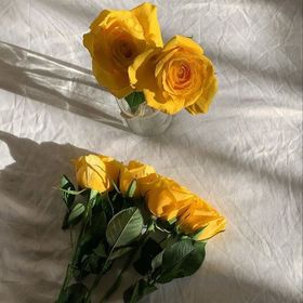 EceElaEda