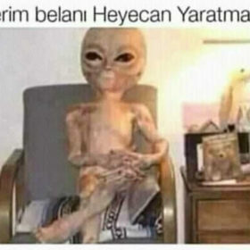 gamzeliieda786