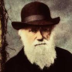 Darwininsakalı1