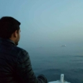 Gök_Börü