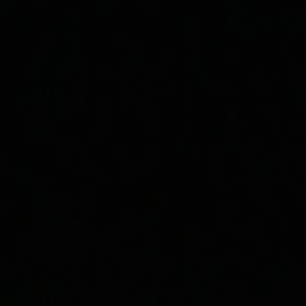 Nzsudee
