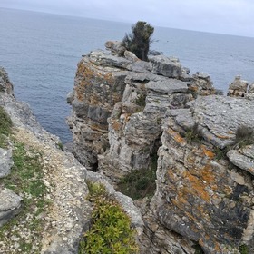 Enfani
