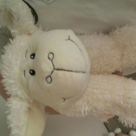 zeusunki