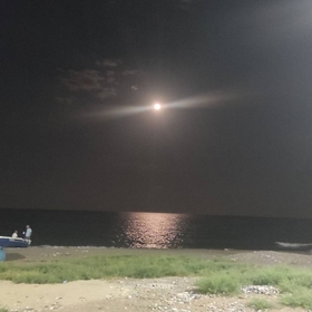 moonlight5801