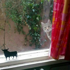 pıtıpıtıke