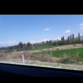 pusucu19