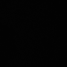 SK_die_biri