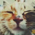 muharR3m