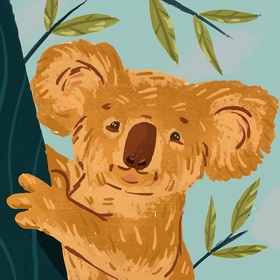 koalakoalakoala
