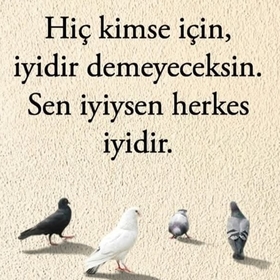 çiçekçikiz42