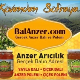 anzerarıcılık