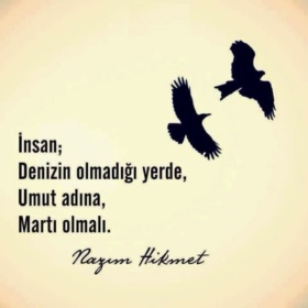 nefo_yeterkiiste
