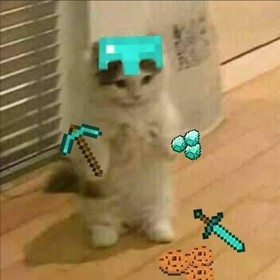 zzizi