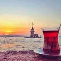 testesteron_bey