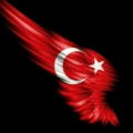 agresif64