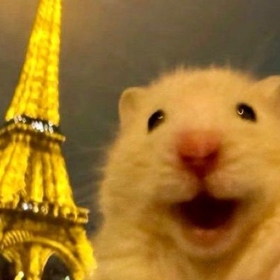 saniiiii