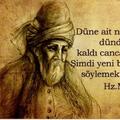 Deniz1_234