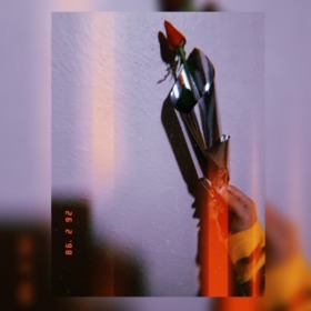 Bipliophile_
