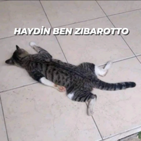 öfşddödşödld