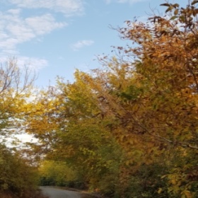 psikolog_malatya