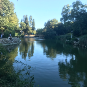 C_Buğra35