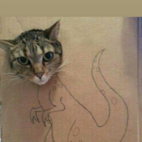 Yahaha12