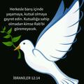 Mesihİmanlısı