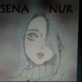 Senanur327
