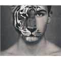 mavi_tigerboy
