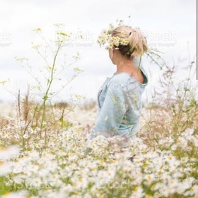 QueenOfDaisies