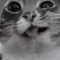 Mdoddmkddk