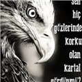 erhan30