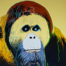 orangutangillerden