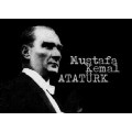 bayanbaykuş-