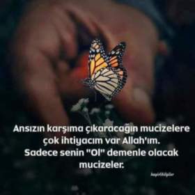 Goccabolu