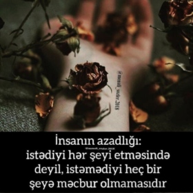 Dddddbvvb