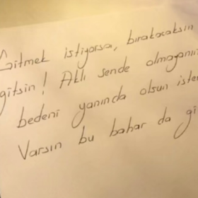 Özgürünüz