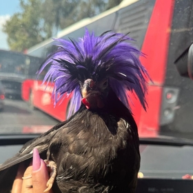 aklımdadelısorular12