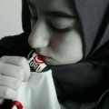 elfyzhrmn18