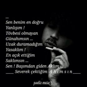 Tolqtuq