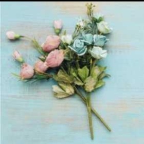RoseBeautiful