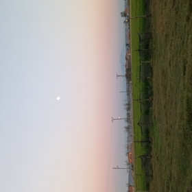 Yıldız_60