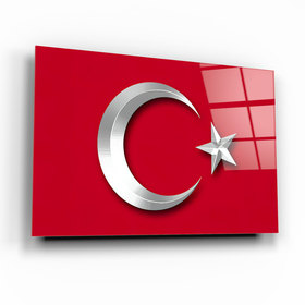 AMİR0841