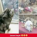 karaYİLAN21