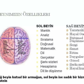 Akay12