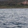 elbet1günn