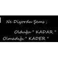 seherr97